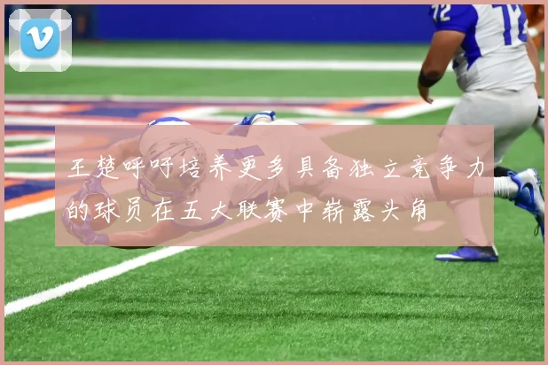 王楚呼吁培养更多具备独立竞争力的球员在五大联赛中崭露头角